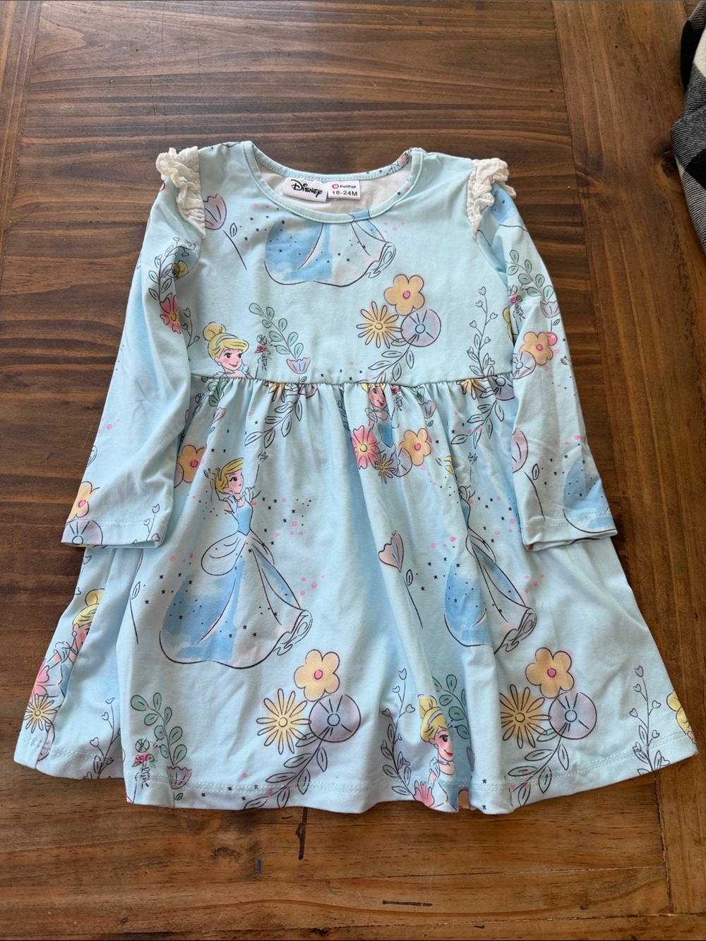 PayPal Cinderella Dress